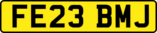 FE23BMJ