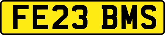 FE23BMS