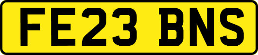 FE23BNS