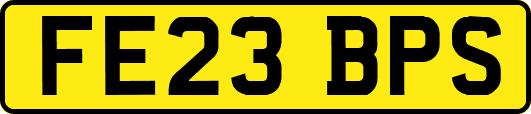 FE23BPS