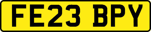 FE23BPY