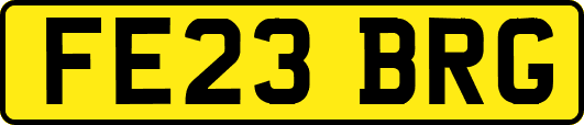 FE23BRG