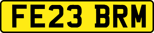 FE23BRM
