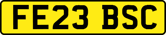 FE23BSC