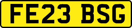 FE23BSG