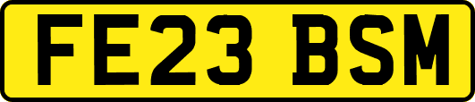 FE23BSM