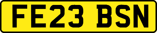 FE23BSN