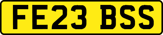 FE23BSS