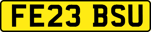 FE23BSU