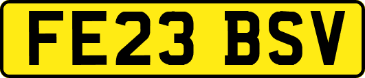 FE23BSV