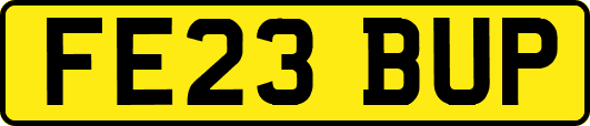 FE23BUP
