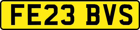 FE23BVS