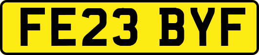 FE23BYF