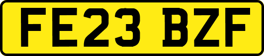 FE23BZF