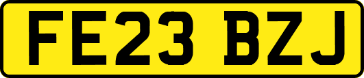 FE23BZJ