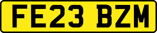 FE23BZM