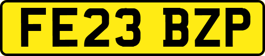 FE23BZP