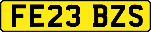 FE23BZS