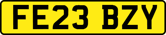 FE23BZY