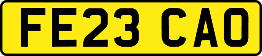 FE23CAO