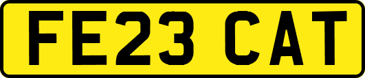 FE23CAT
