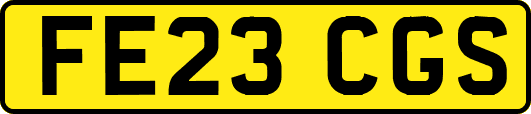 FE23CGS