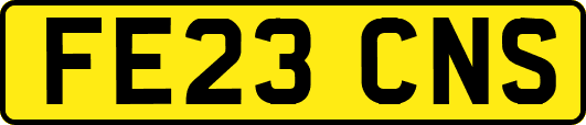 FE23CNS
