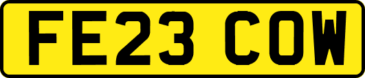 FE23COW