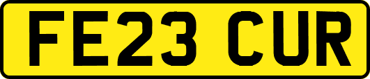 FE23CUR