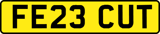 FE23CUT