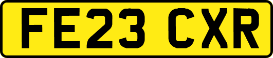 FE23CXR