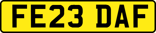 FE23DAF