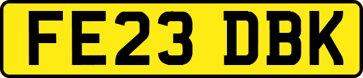 FE23DBK