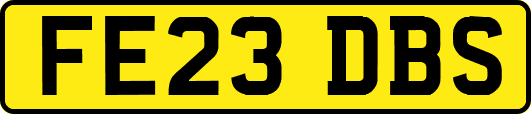 FE23DBS