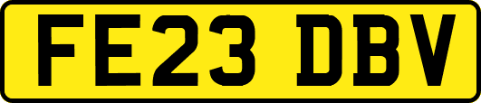 FE23DBV