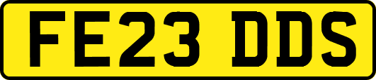 FE23DDS