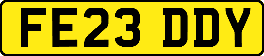 FE23DDY
