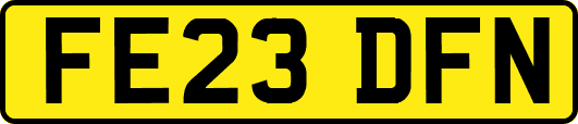 FE23DFN