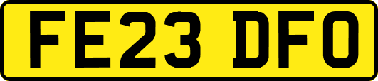 FE23DFO