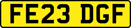 FE23DGF