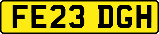 FE23DGH