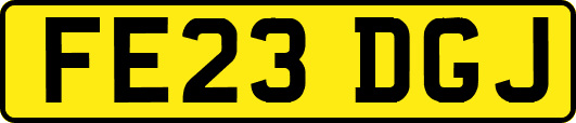 FE23DGJ