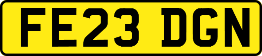 FE23DGN