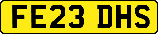 FE23DHS