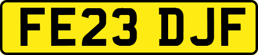 FE23DJF