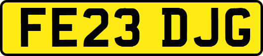 FE23DJG