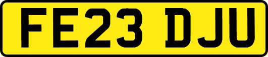 FE23DJU