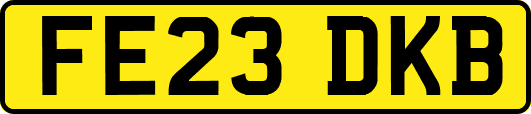 FE23DKB