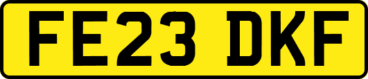 FE23DKF