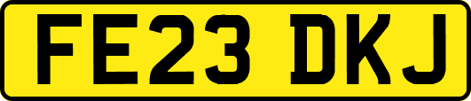 FE23DKJ